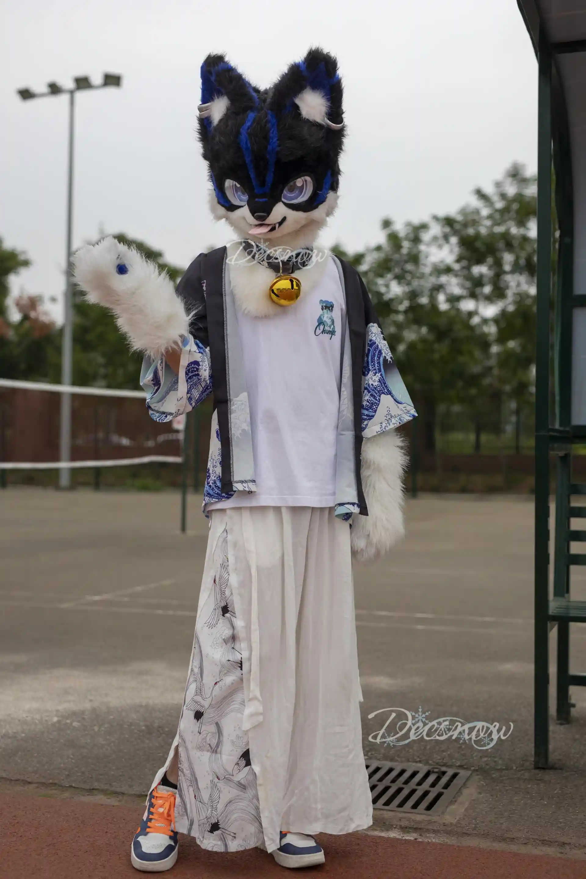 DDS_5181
