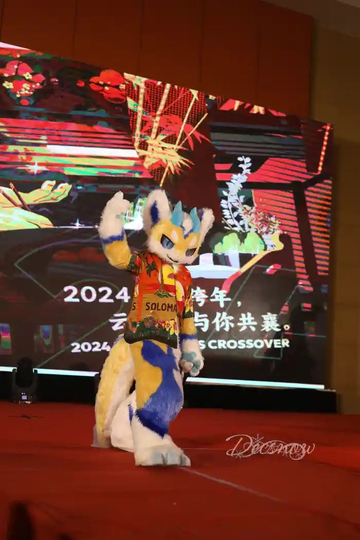 DDS_0911
