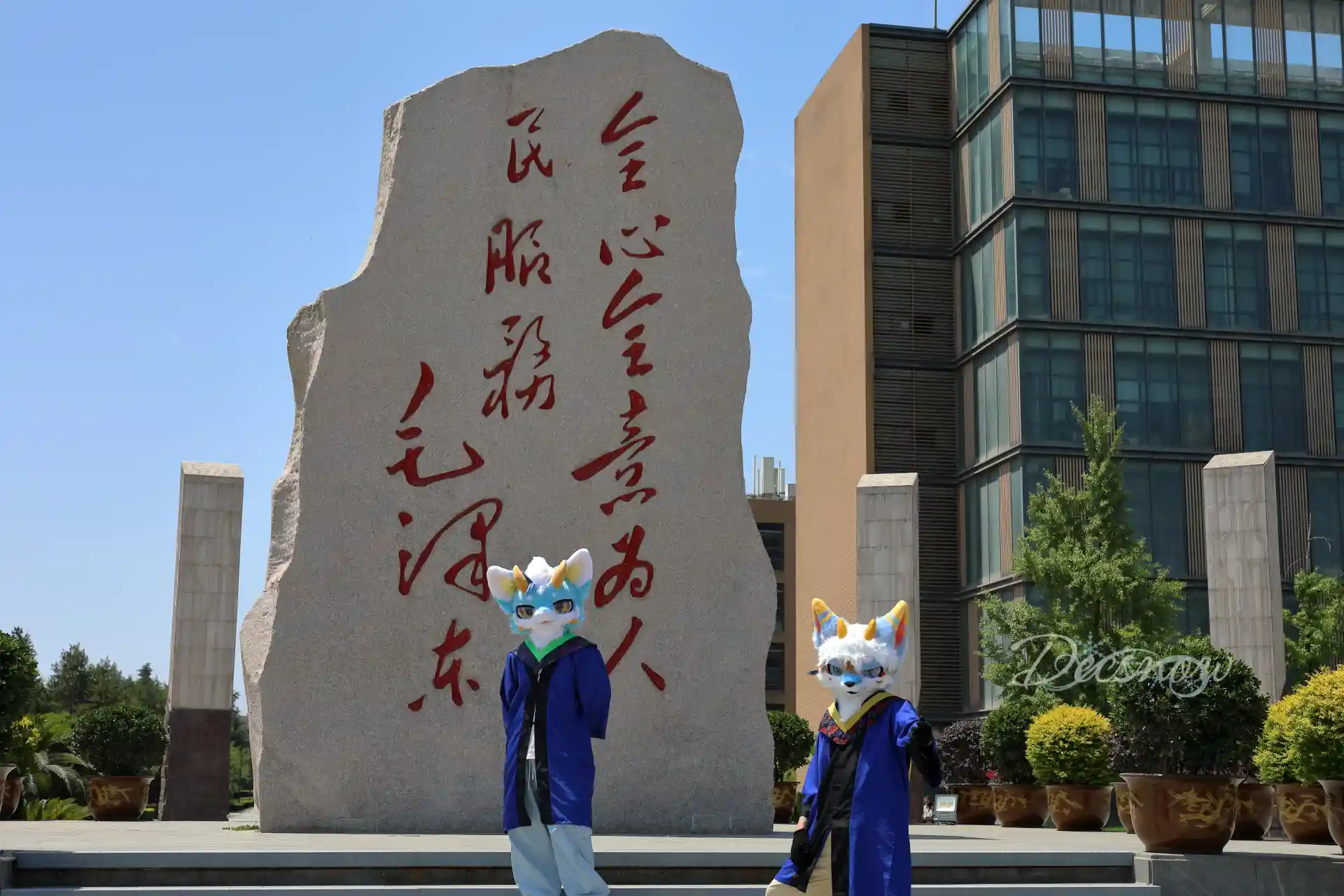 DDS_7247