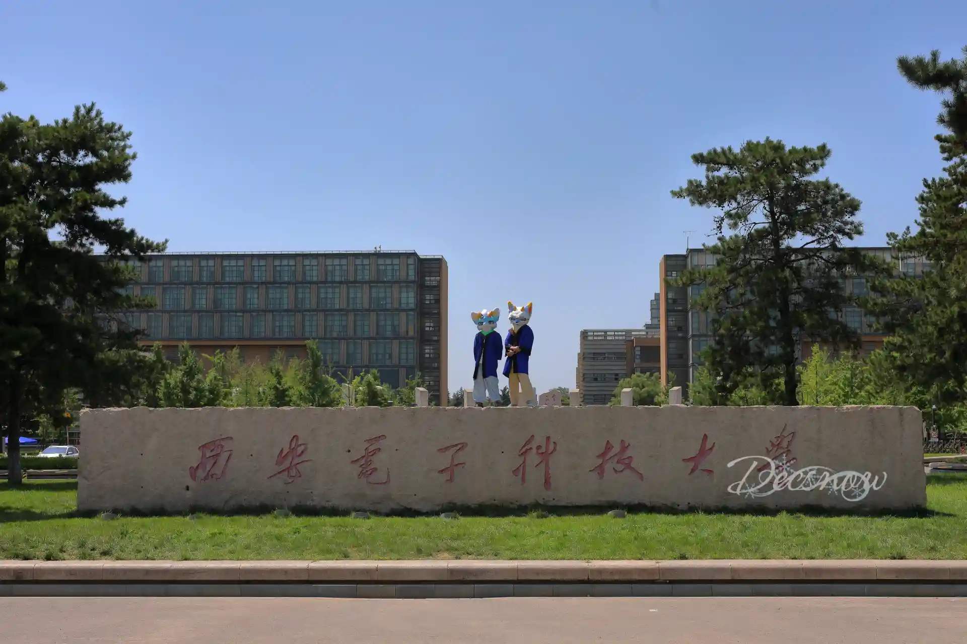 DDS_7273