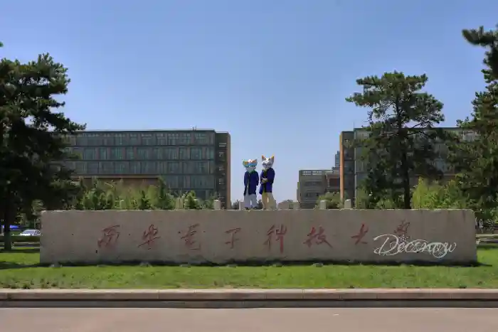 DDS_7273