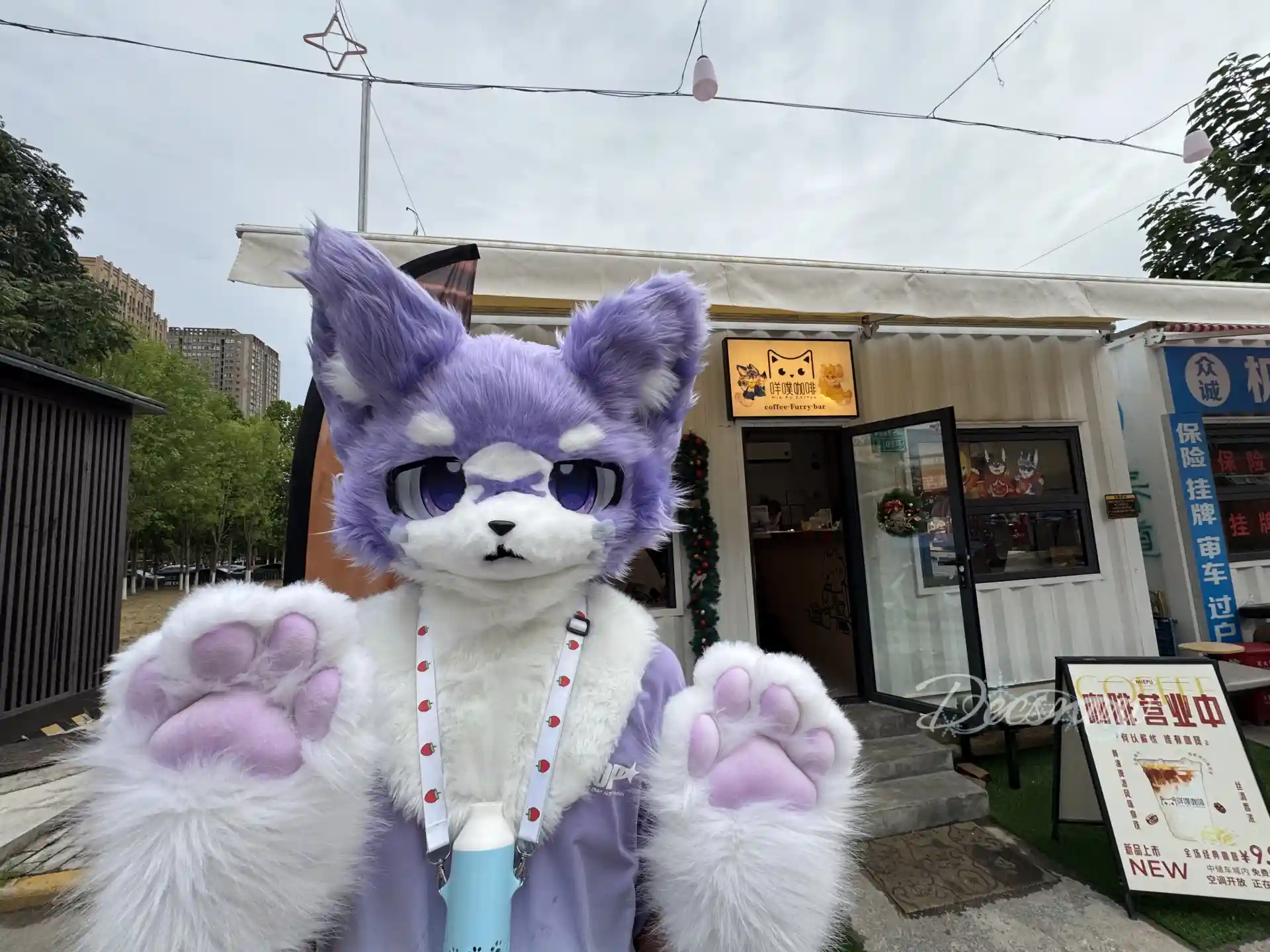 Featured image of post Vosto诞生记