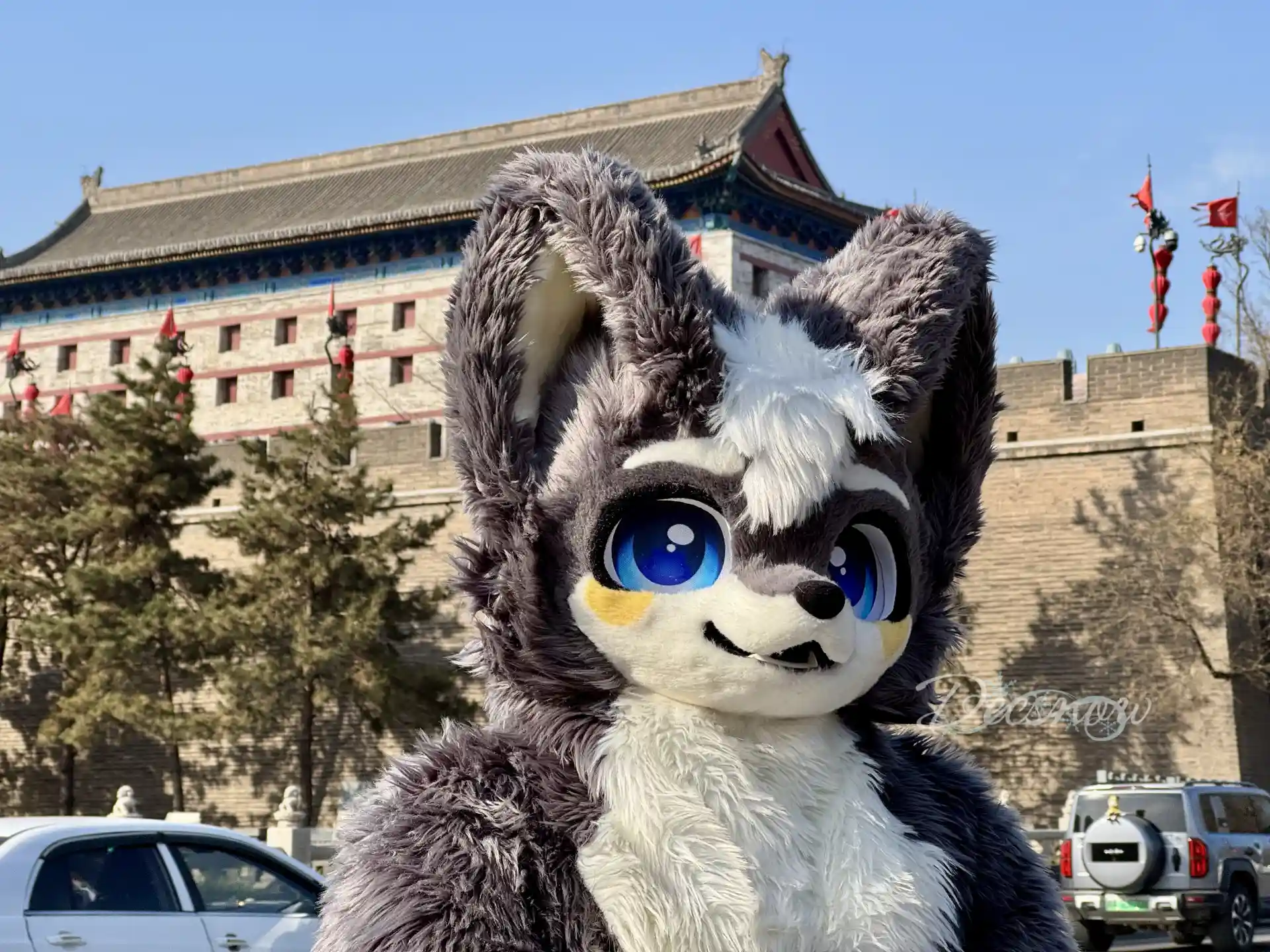 Featured image of post 西安毛拍-微光篇